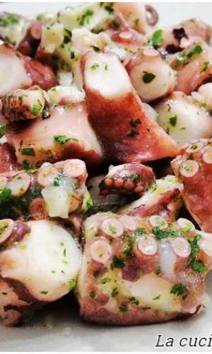 Insalata di polpo