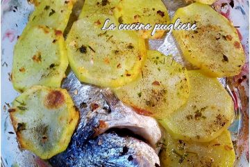 Orata alla pugliese - cucinapugliese--