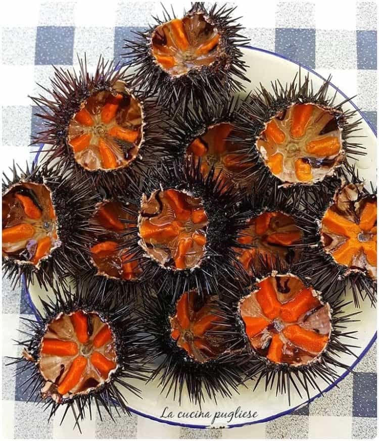 Ricci di mare (frutti di mare) ~ La Cucina Pugliese ...
