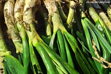 Sponsali scopri le proprietà e i benefici di questo tesoro culinario della Puglia - la cucina pugliese